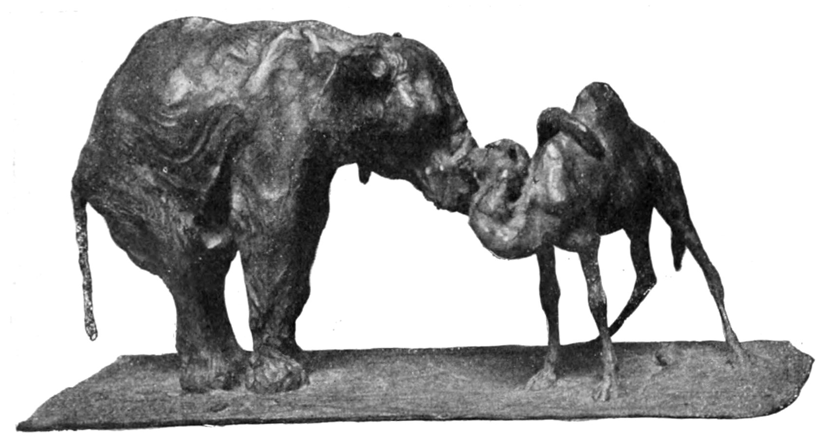 Elefant und Kamel